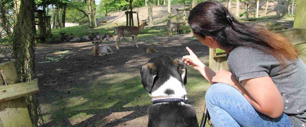Frau mit Hund zeigt auf Wild