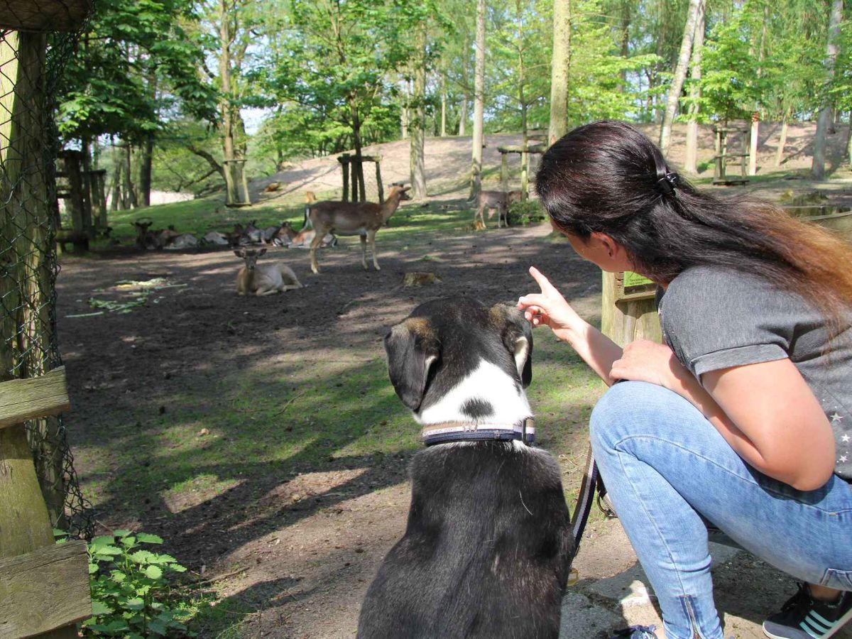 Frau mit Hund im Tierpark